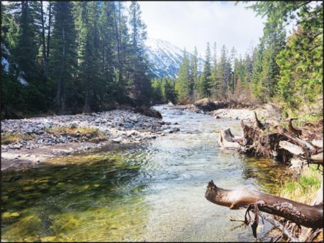 Pictured above is Rock Creek near Red Lodge where total streamflow volume last month was only about 50% of its normal May volume. Delayed snowmelt and additional accumulation resulted in snowpack conditions that are near normal at several high elevation locations, but overall, the snowpack remains below normal in most locations.