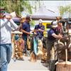 A backpacking bear is auctioned Sunday during the final day of the Chainsaw Carving Rendezvous.