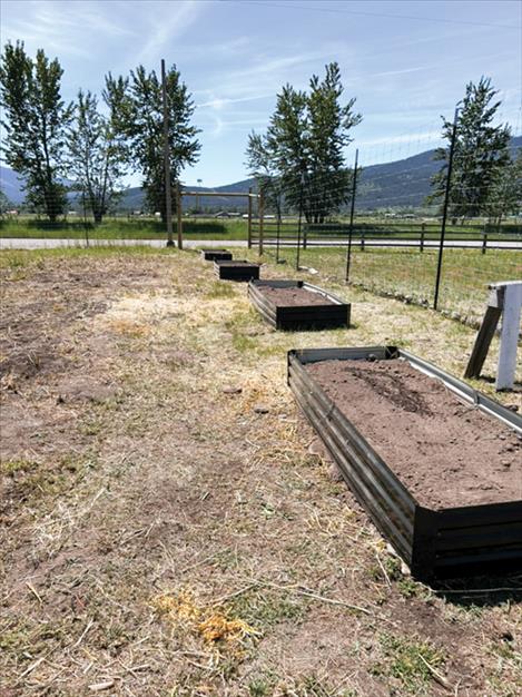 Pollinator boxes