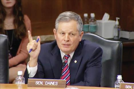 Senator Steve Daines