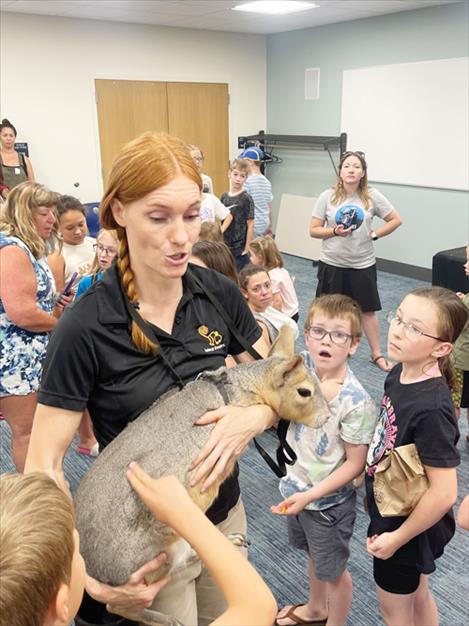 Jessi Castañeda allows children to touch a Patagonian cavy, right. According to their website, “Animal Wonders Inc. and employees dedicate themselves to adopting displaced wildlife and other animals in need, giving them a life-long home, and providing education about exotic and native animals.”