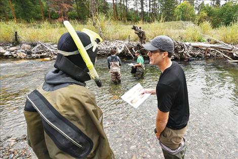 UM faculty member Andrew Whiteley uses a viewing bucket to look at a rainbow trout while surveying Rattlesnake Creek with a class.