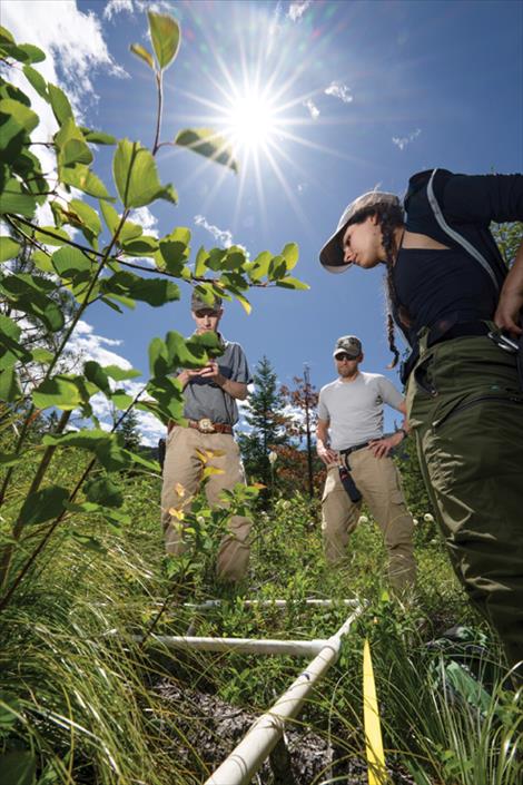 UM students Ava Window and Trevor Weeks work this summer to estimate and identify vegetation and forage in their Noxon study area.