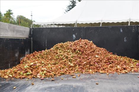 A pile of  apple  pomace, the solid remains of an apple pressing, are piled into a dump trailer for transport to a composting site.