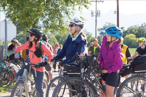 Cyclists watch and wait for cattle being moved down Valley View Road.