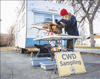 Sampling the work day of a CWD technician