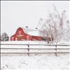 A red Mission Valley barn stands out in a snow covered landscape. Loopholes in tax codes aimed to encourage farming and ranching and preserve Montana's agricultural character have benefitted thousands of luxury real estate properties.