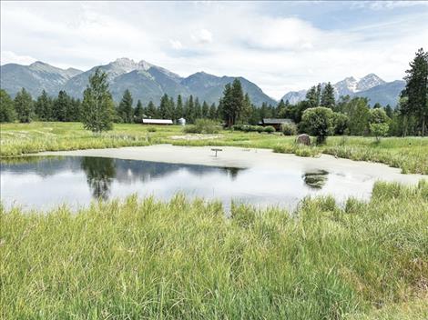 A conservation easement for the 40-acre property pictured above will connect the Mission Mountain Wilderness to a network of over 18,000 acres of previously conserved lands.