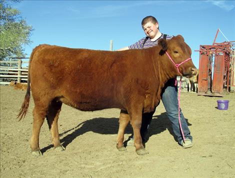 Coby Guenzler was one of 25 Montanans awarded a donor heifer calf through the Northern International Livestock Exposition Merit Heifer Program to get a start in the beef business.